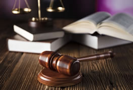 ����С��˾�ϰ�Ӧ������