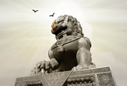 �����շŴ���